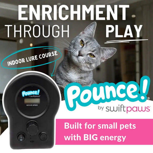 Pounce Kit!