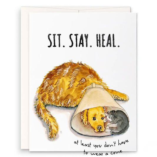 Cone of Shame Dog & Cat Sympathy - Greeting Card
