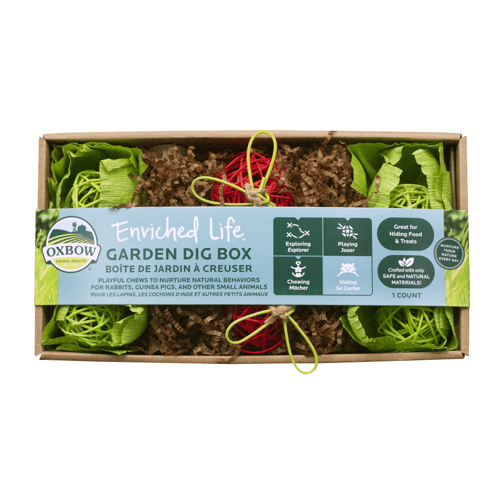 ENRICHED LIFE – GARDEN DIG BOX for Small Animals