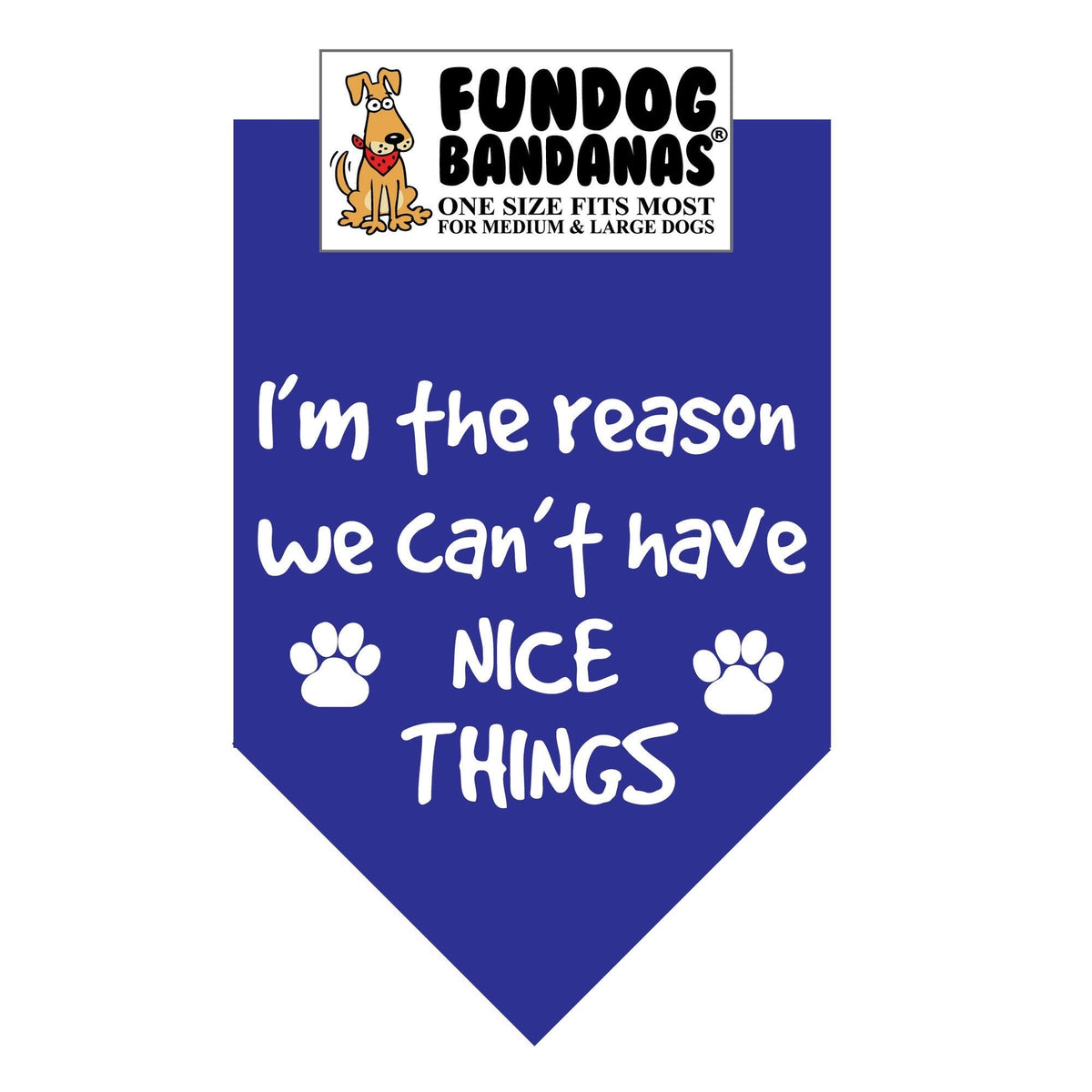 I'm The Reason We Can't Have Nice Things - Bandana