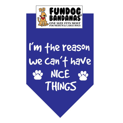 I'm The Reason We Can't Have Nice Things - Bandana