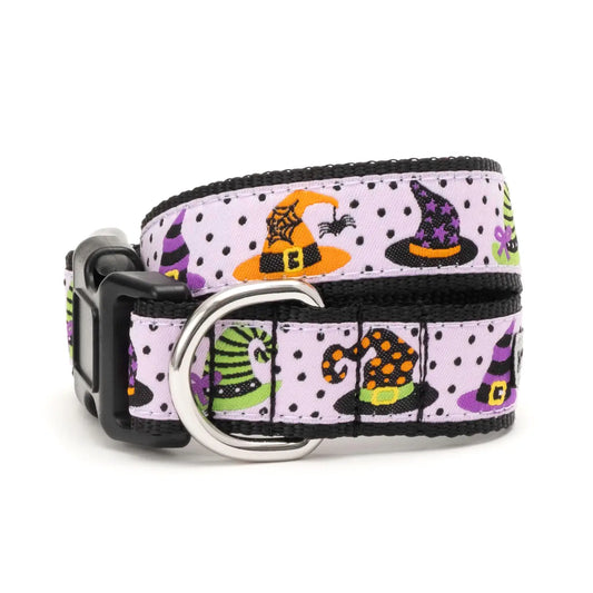 "Be Witched" Dog Collar by The Worthy Dog