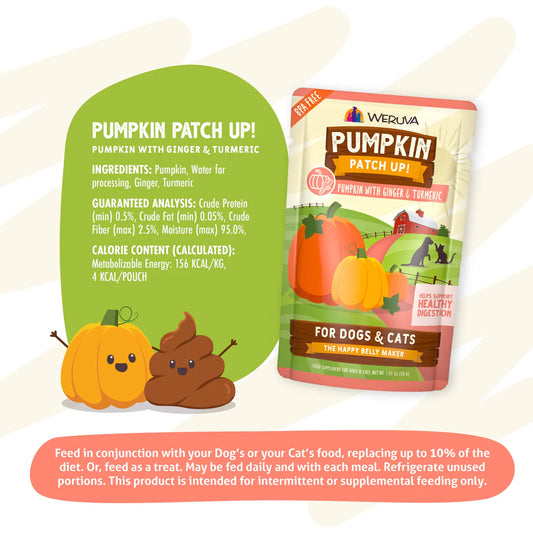 Pumpkin Patch Up Pumpkin with Ginger & Turmeric Pumpkin Supplement