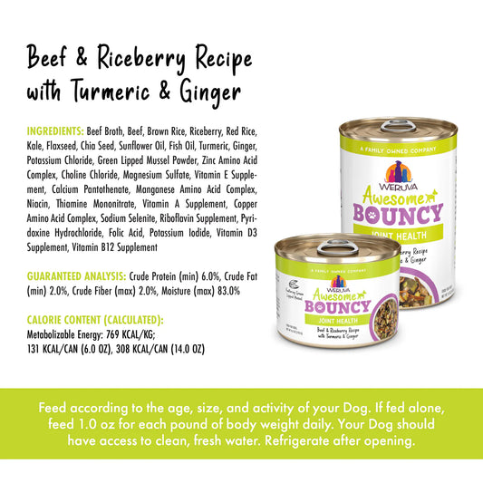 Awesome Bouncy Beef & Riceberry Recipe with Turmeric & Ginger in Gravy