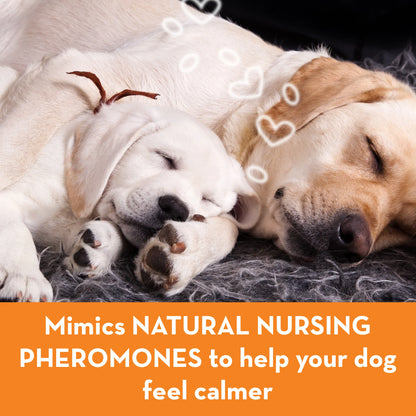 ThunderEase® for Dogs - Calming Diffuser Kit