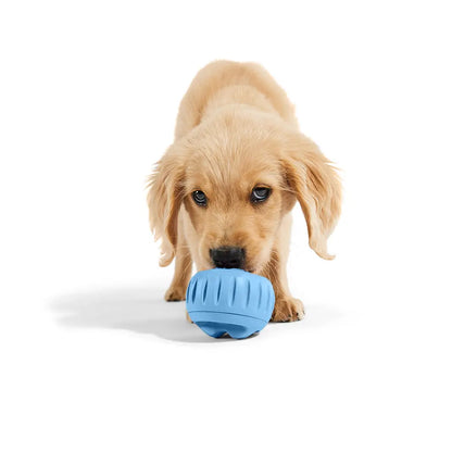 WOOF DOG PUPSICLE Exclusive Color (LIGHT BLUE)