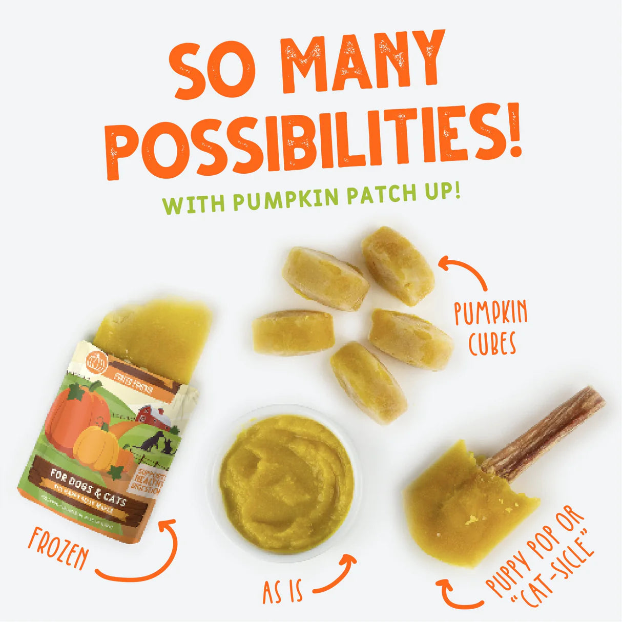 Pumpkin Patch Up Pumpkin with Coconut Oil & Flaxseeds Pumpkin Supplement