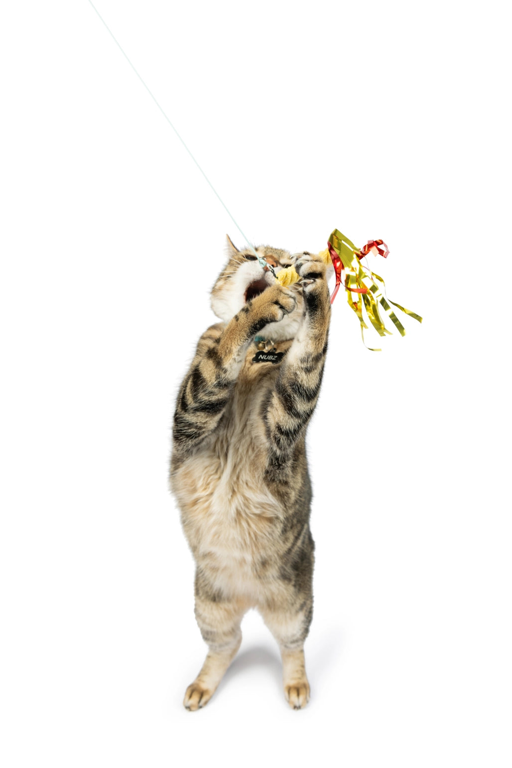 Snacky Teaser 3pc Wand Refill Cat Toys