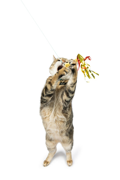 Snacky Teaser 3pc Wand Refill Cat Toys