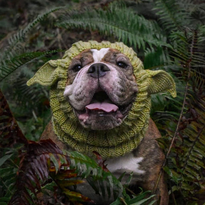 Dog Snood