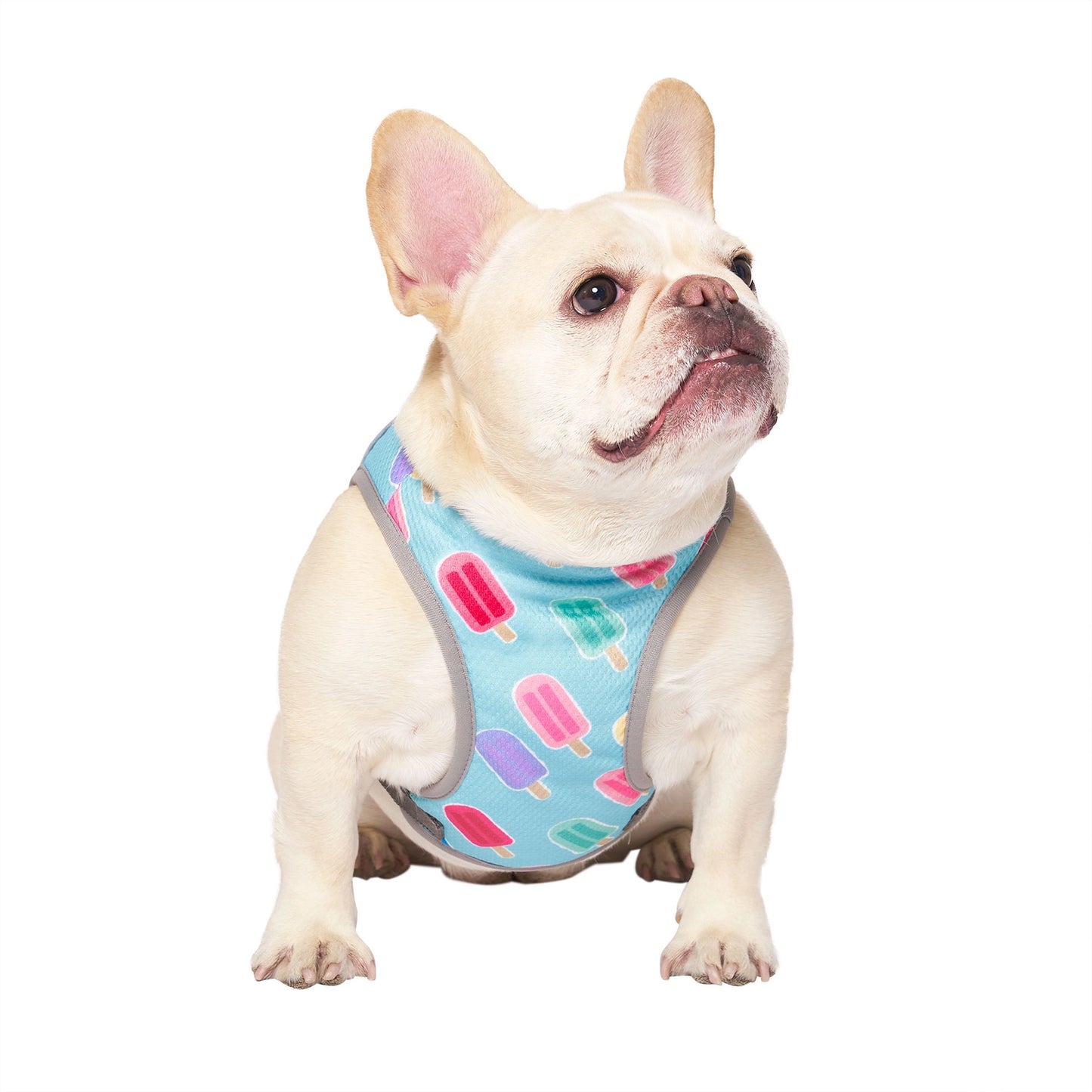 Chill Seeker Dog Cooling Vest (Popsicle)