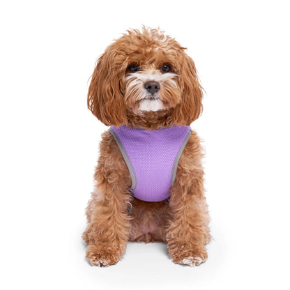 Chill Seeker Dog Cooling Vest (Purple Smiley Reveal)