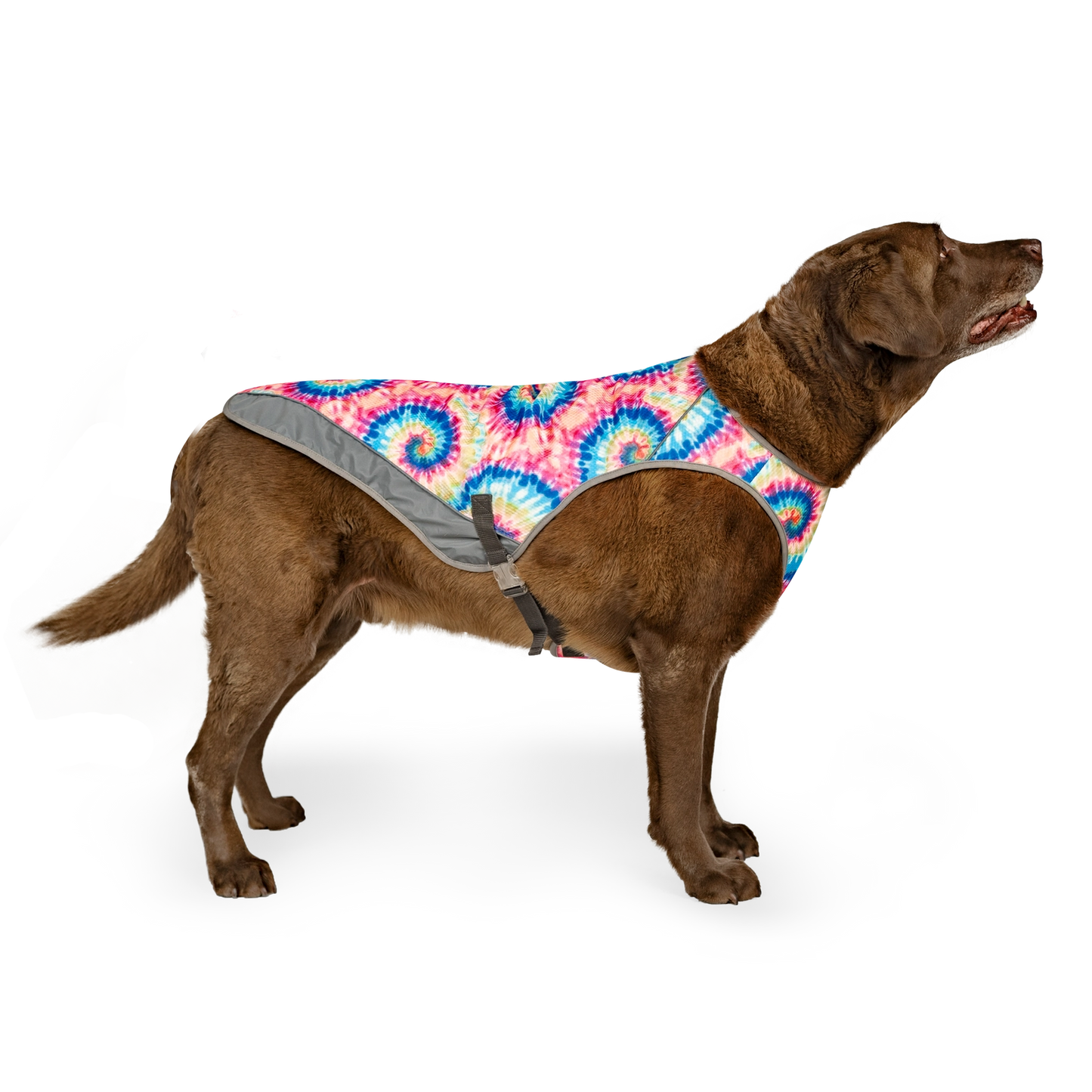Chill Seeker Dog Cooling Vest (Tie Dye)
