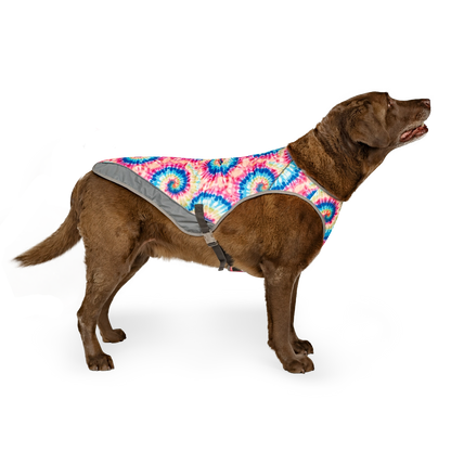 Chill Seeker Dog Cooling Vest (Tie Dye)