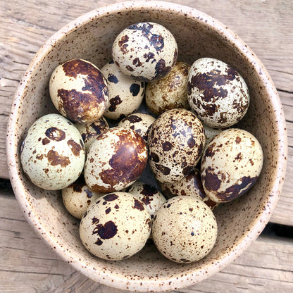 QUAIL EGGS FROZEN  18ct  Cat & Dog treat