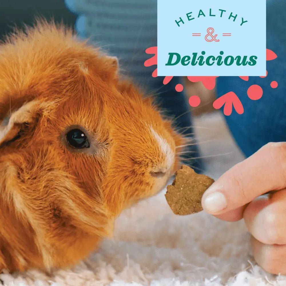 SIMPLE REWARDS BAKED TREATS WITH BELL PEPPER 3oz for Small Animals