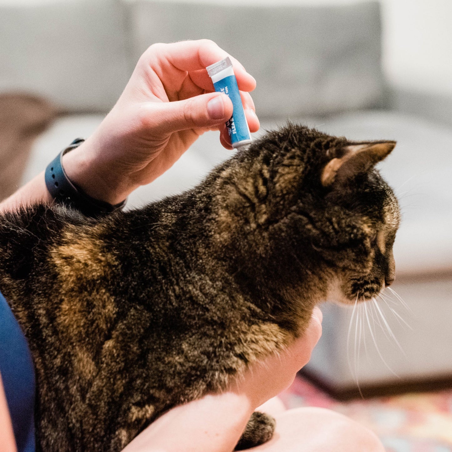 Flea & Tick Spot On for Dogs + Cats with Natural Essential Oils