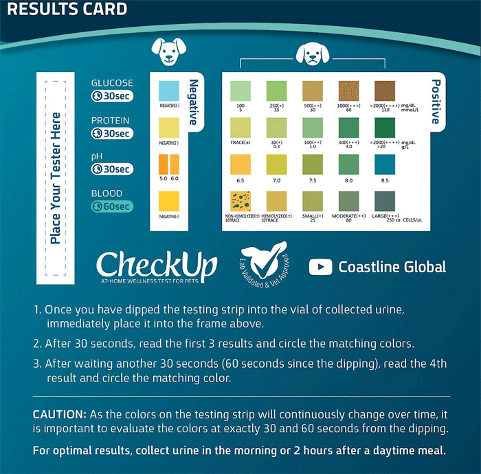 Check Up Home Wellness Kit for Dog