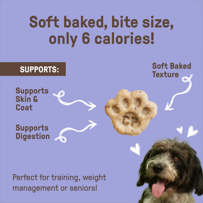 COOKIE PAL SOFT BITES Blueberry & Pumpkin Soft Baked Bites