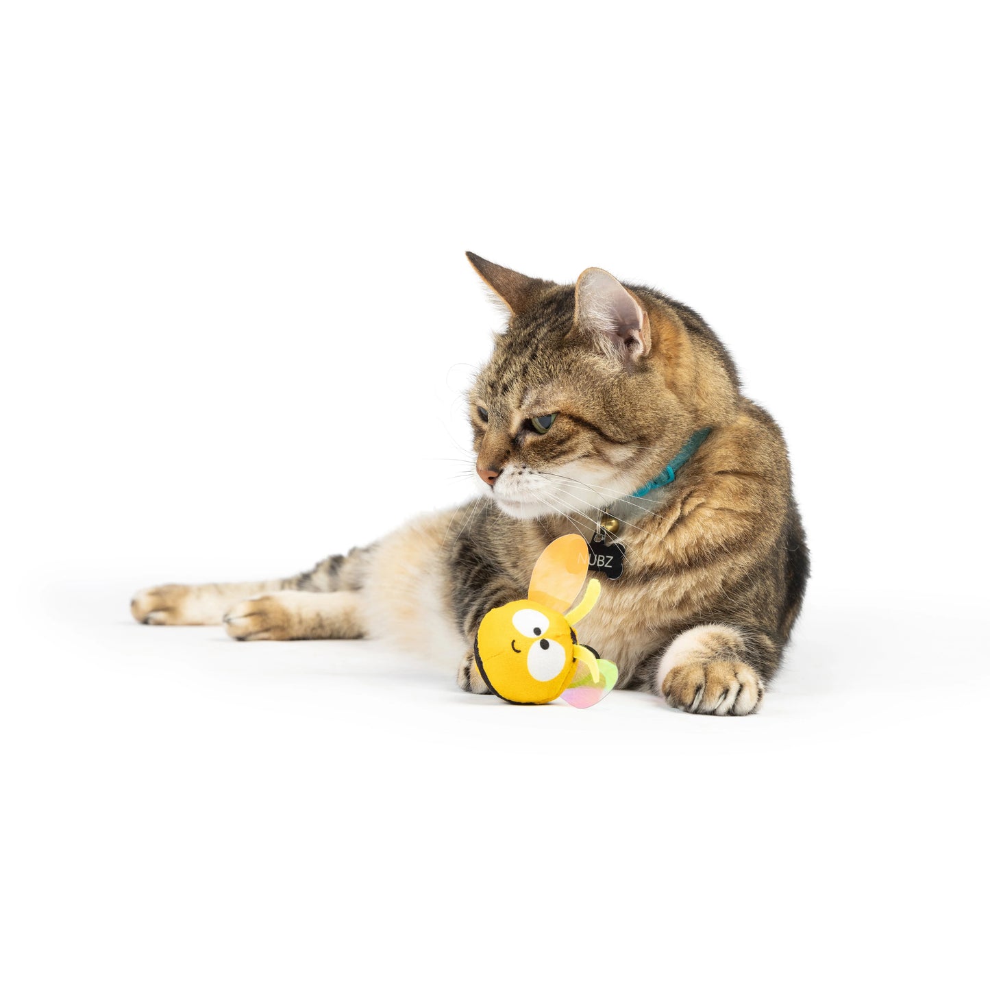 bumble bee flinger cat toy
