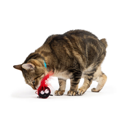 ladybug flinger cat toy