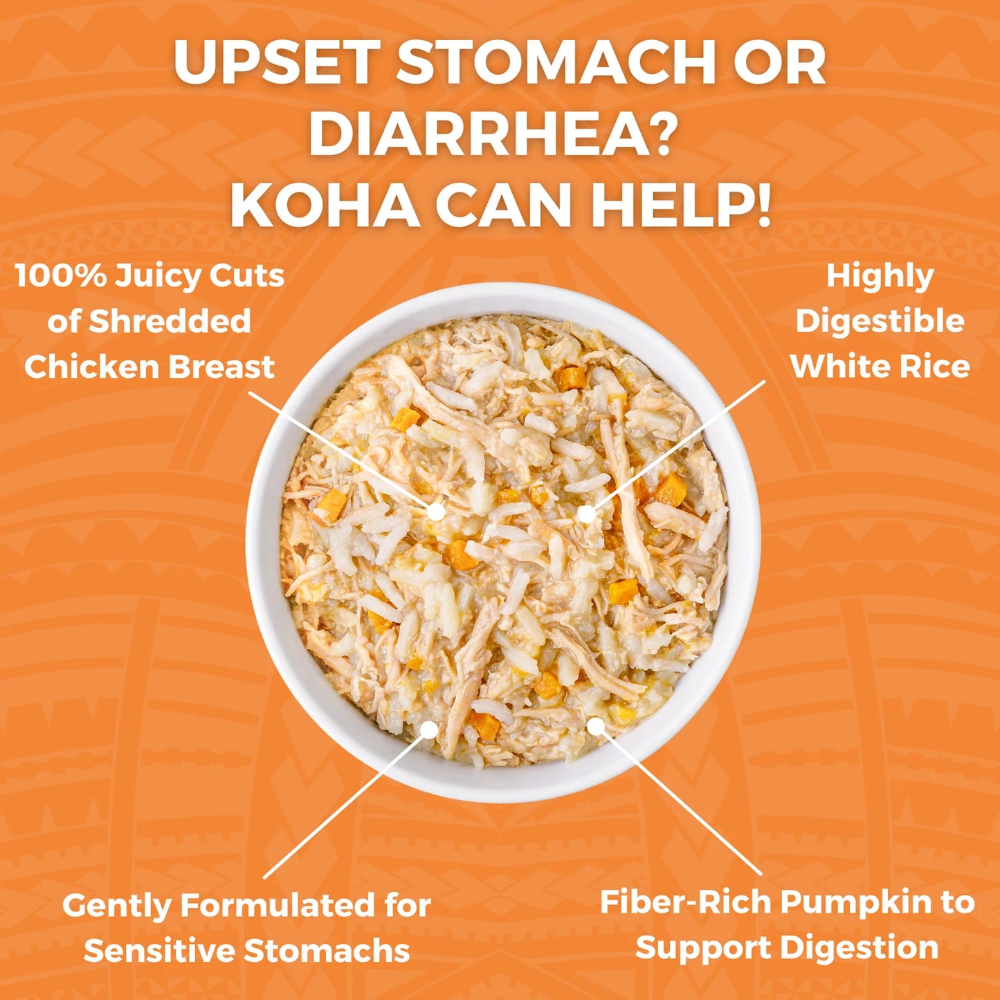 Limited Ingredient Bland Diet Chicken & White Rice with Pumpkin Recipe for Cats