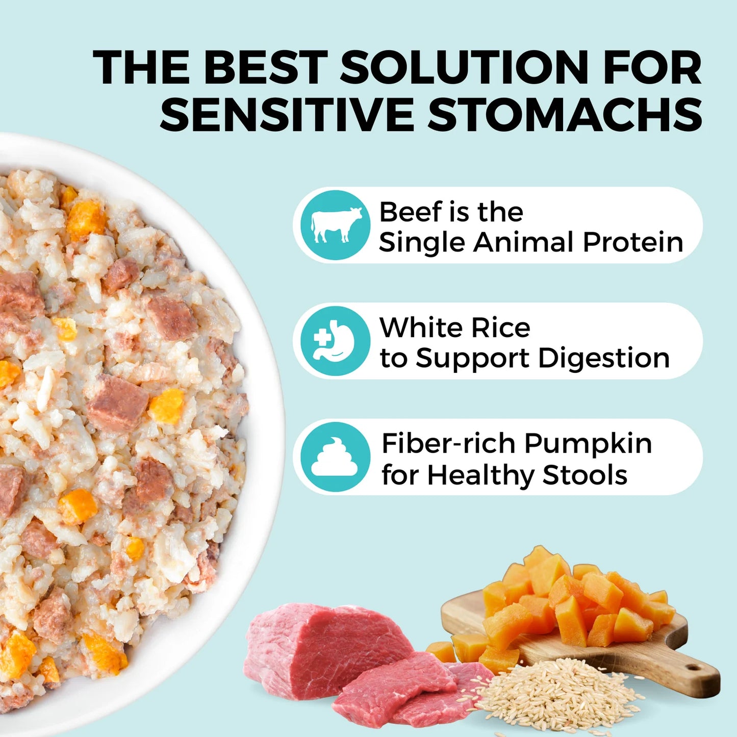 Limited Ingredient Wet Bland Diet Beef & White Rice Recipe for Dogs