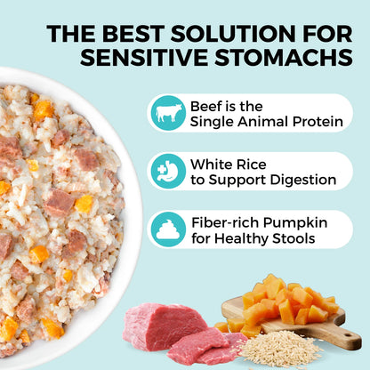 Limited Ingredient Wet Bland Diet Beef & White Rice Recipe for Dogs