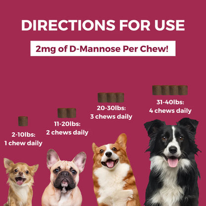 Progility Urinary Support Mini Soft Chews for Small to Medium dogs 60ct