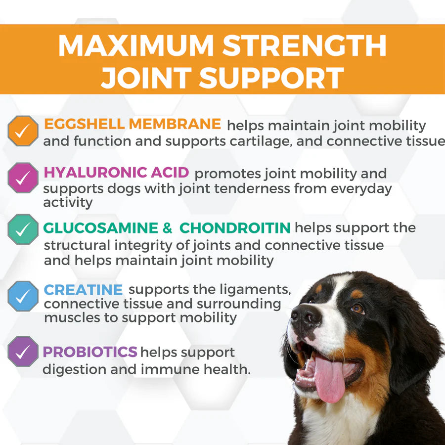 ProgilityMax Hip & Joint Soft Chews for Dogs 60ct