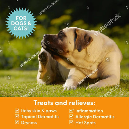 Medicated Itch Relief Spray 8oz
