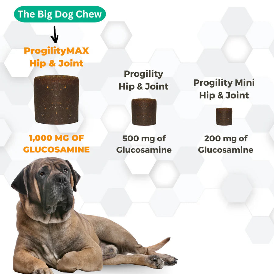 ProgilityMax Hip & Joint Soft Chews for Dogs 60ct