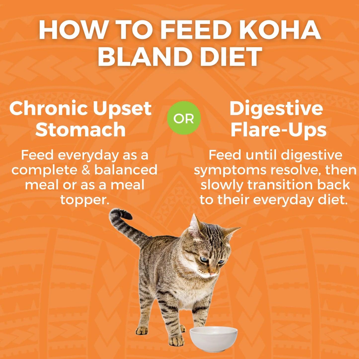 Limited Ingredient Bland Diet Chicken & White Rice with Pumpkin Recipe for Cats