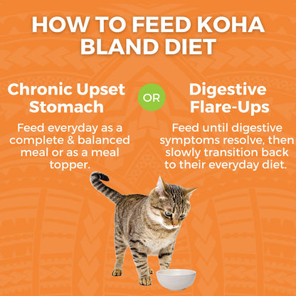 Limited Ingredient Bland Diet Chicken & White Rice with Pumpkin Recipe for Cats