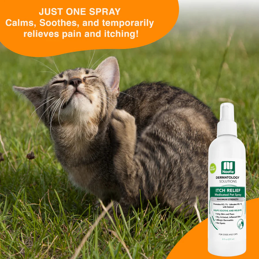 Medicated Itch Relief Spray 8oz