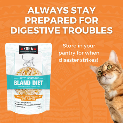 Limited Ingredient Bland Diet Chicken & White Rice with Pumpkin Recipe for Cats