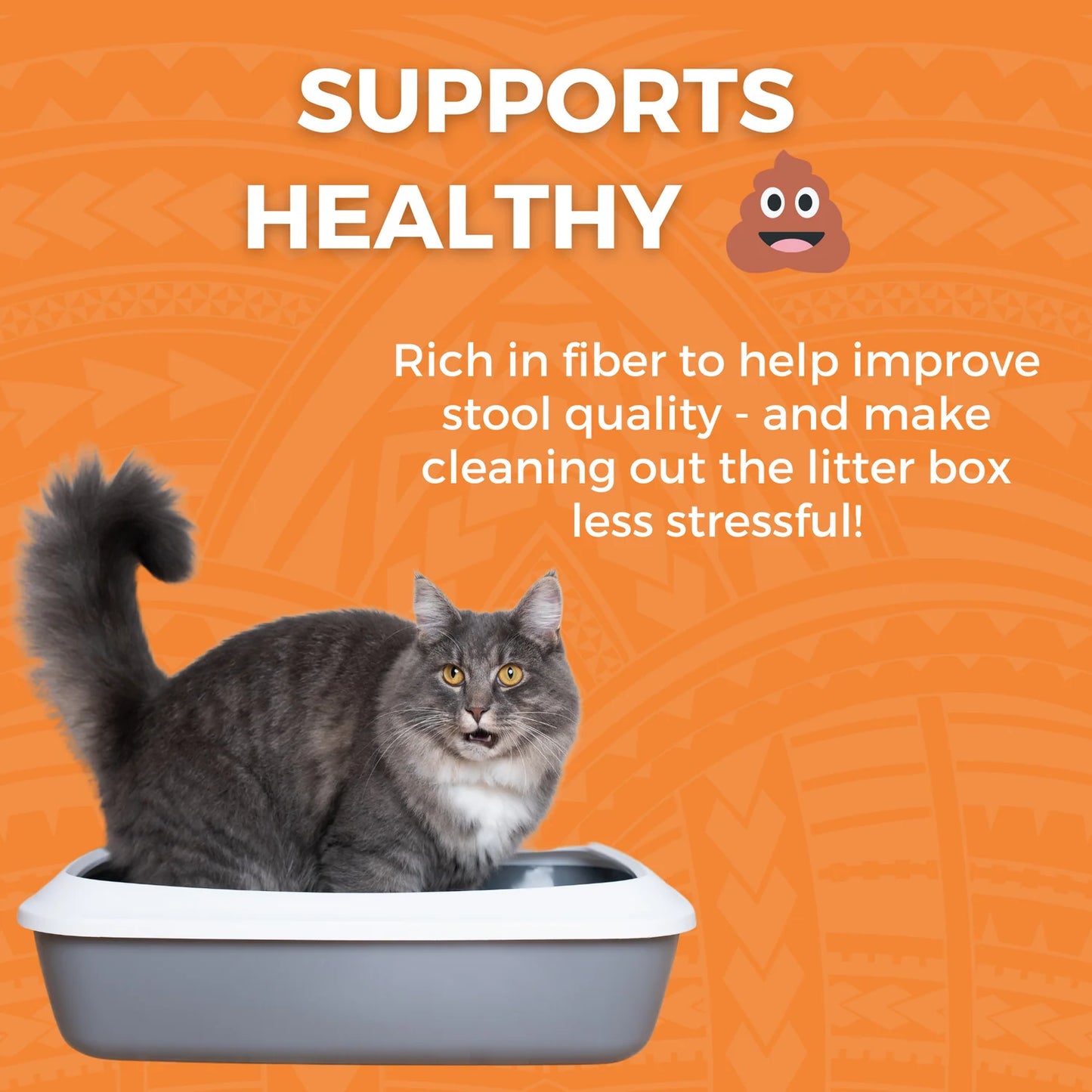 Limited Ingredient Bland Diet Chicken & White Rice with Pumpkin Recipe for Cats