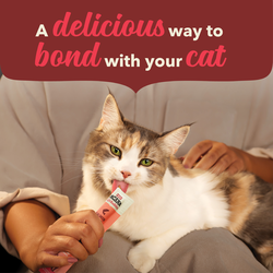 Lickables, Salmon Recipe, Cat Treats 5pk