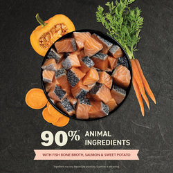 Lickables, Salmon Recipe, Cat Treats 5pk