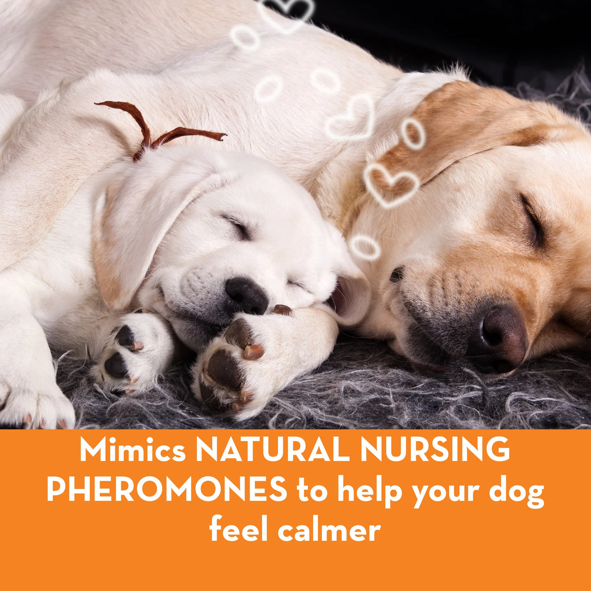 ThunderEase® for Dogs - Calming Diffuser (REFILL ONLY)