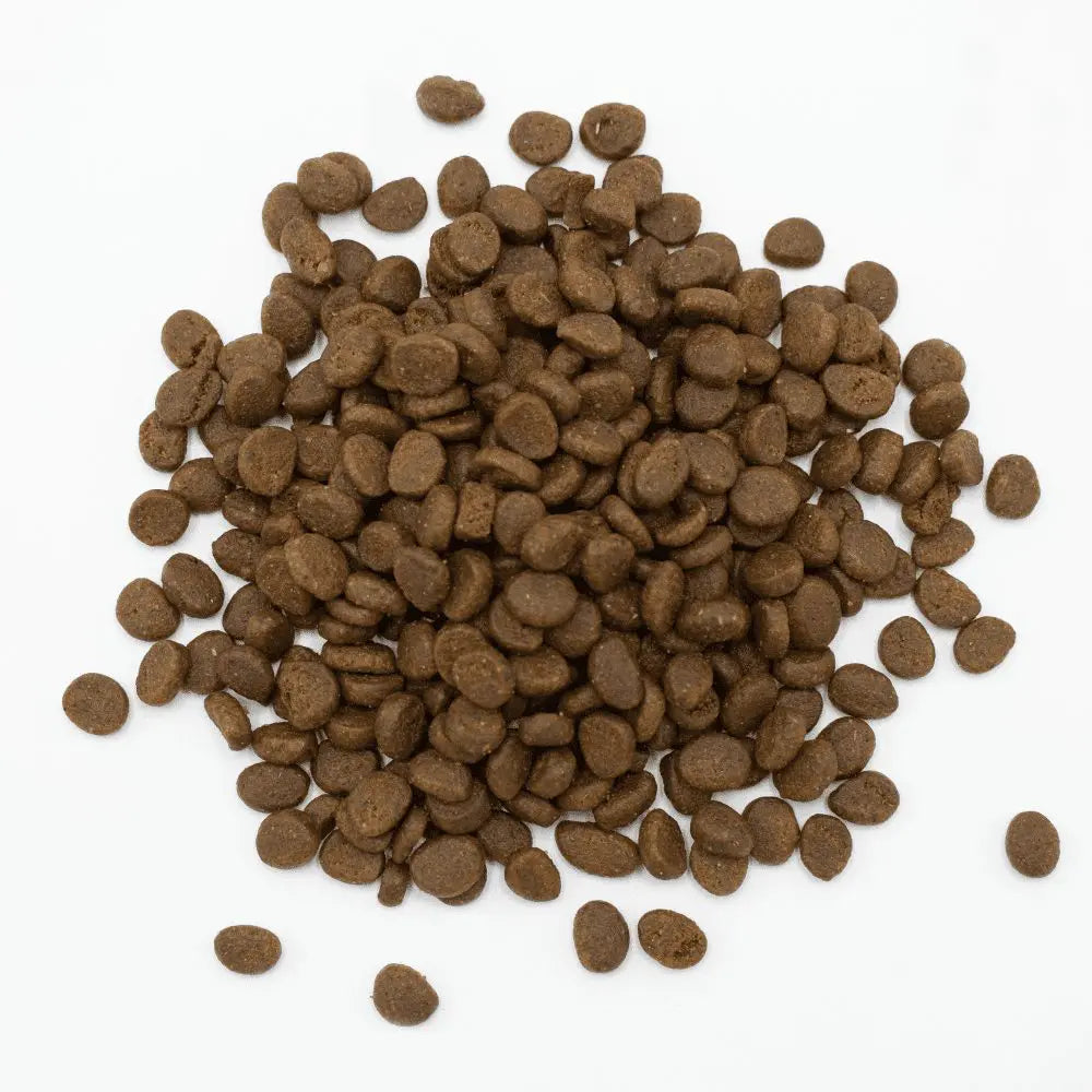Essential Ferret Food 4#