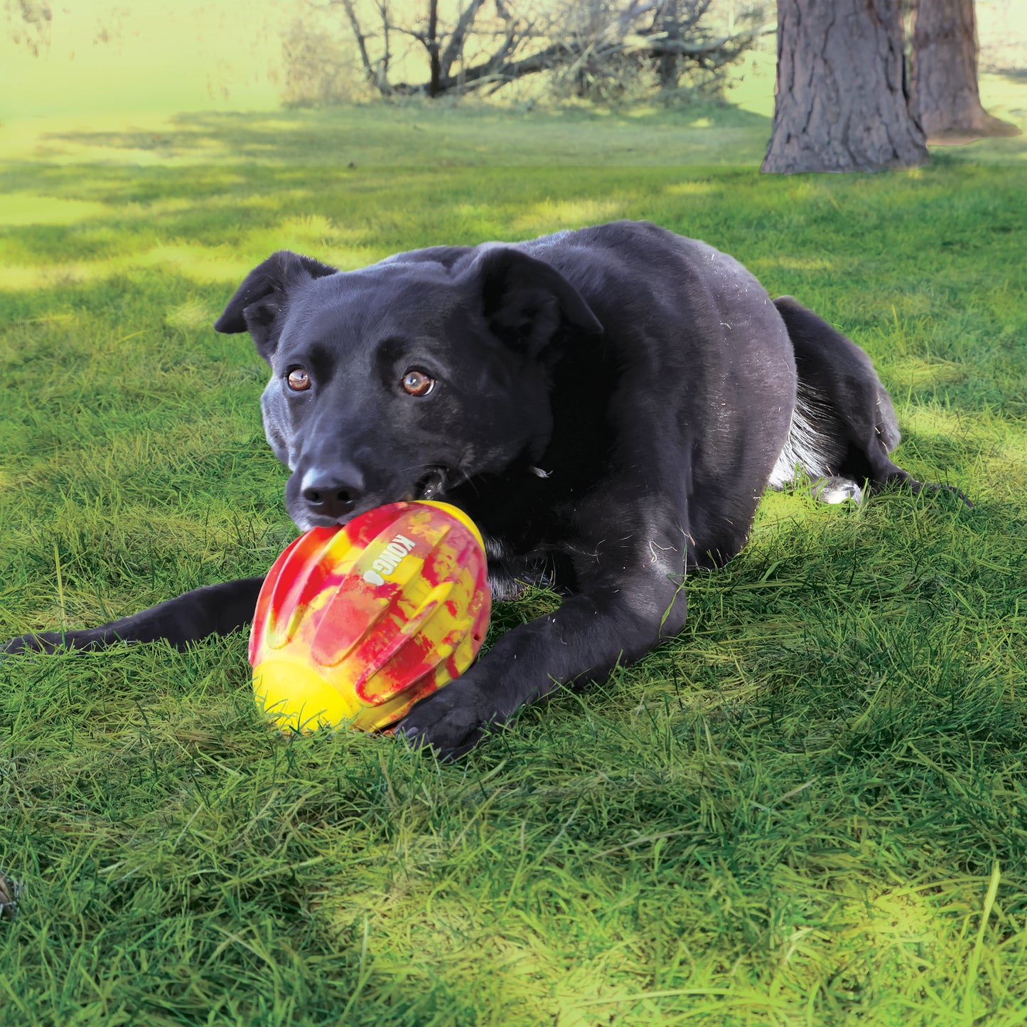 FLEXBALL SPORT FOOTBALL