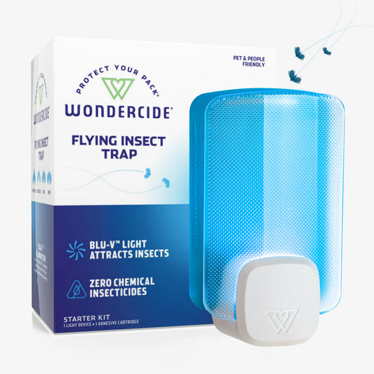 FLYING INSECT TRAP LIGHT STARTER KIT