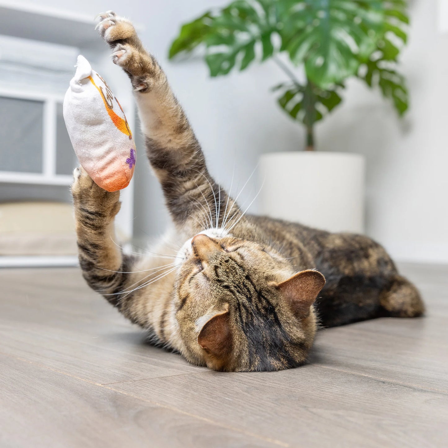 go fish phishy cat toy