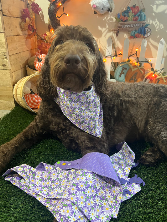 "Purple Daisy"  Handmade Bandana (Reversible - Snap)