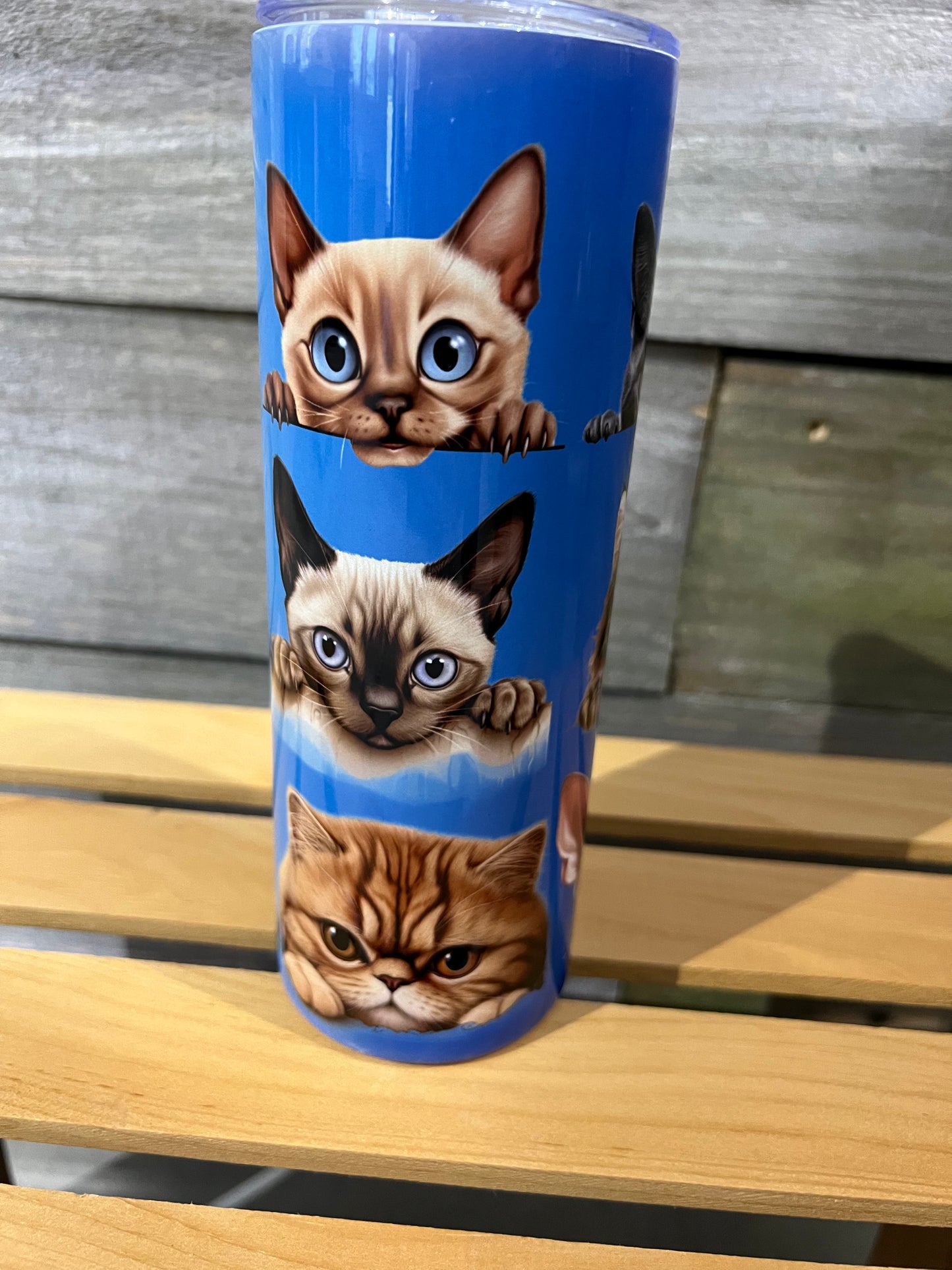 Cat Heads Blue 20oz Straight Tumbler