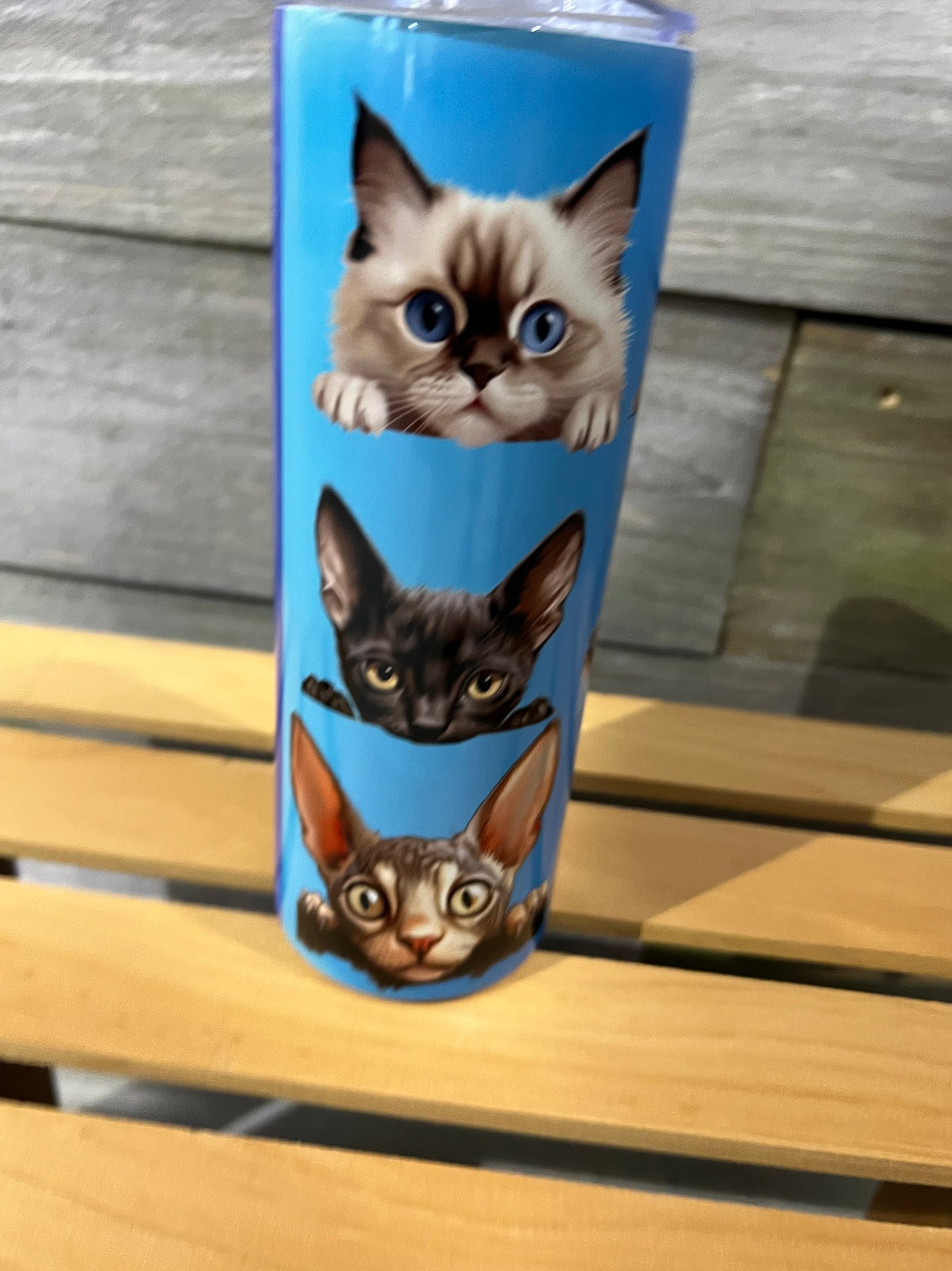 Cat Heads Blue 20oz Straight Tumbler