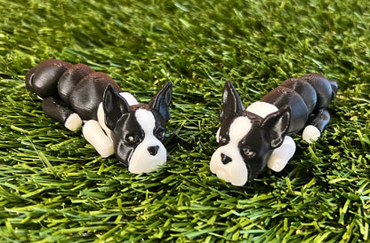 Adopt A Pet - DOG Flexi (Bundle and Save 5 for $20)