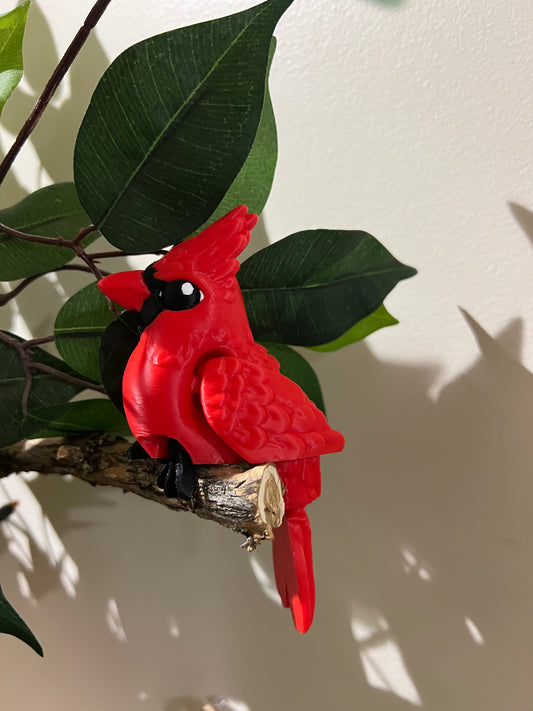 Red Cardinal Flexi