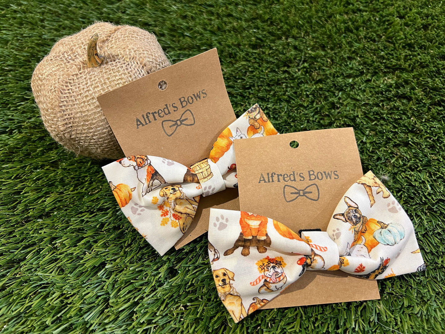 Alfred's Bows Harvest Dogs Medium Bow